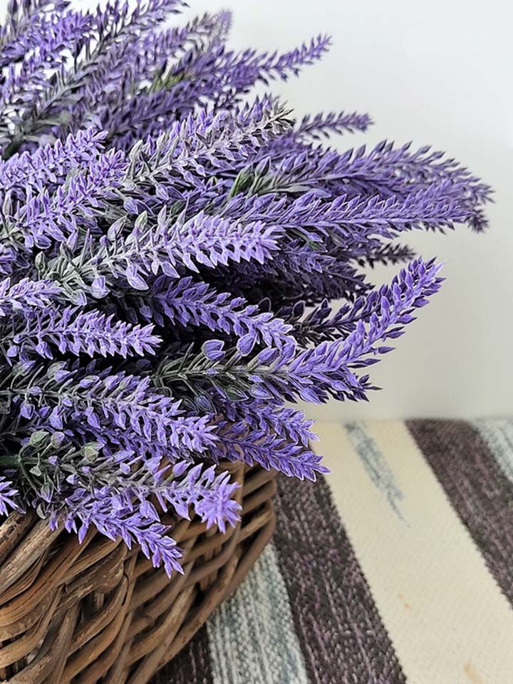 Кусты декоративные